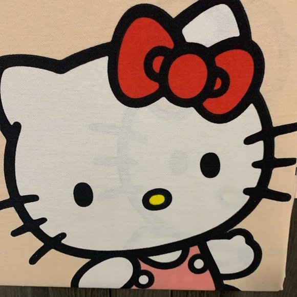 New Hello Kitty & Daisy Spring Flowers 72" x 72" Peach Shower Curtain - Picture 2 of 6